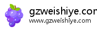 gzweishiye.com